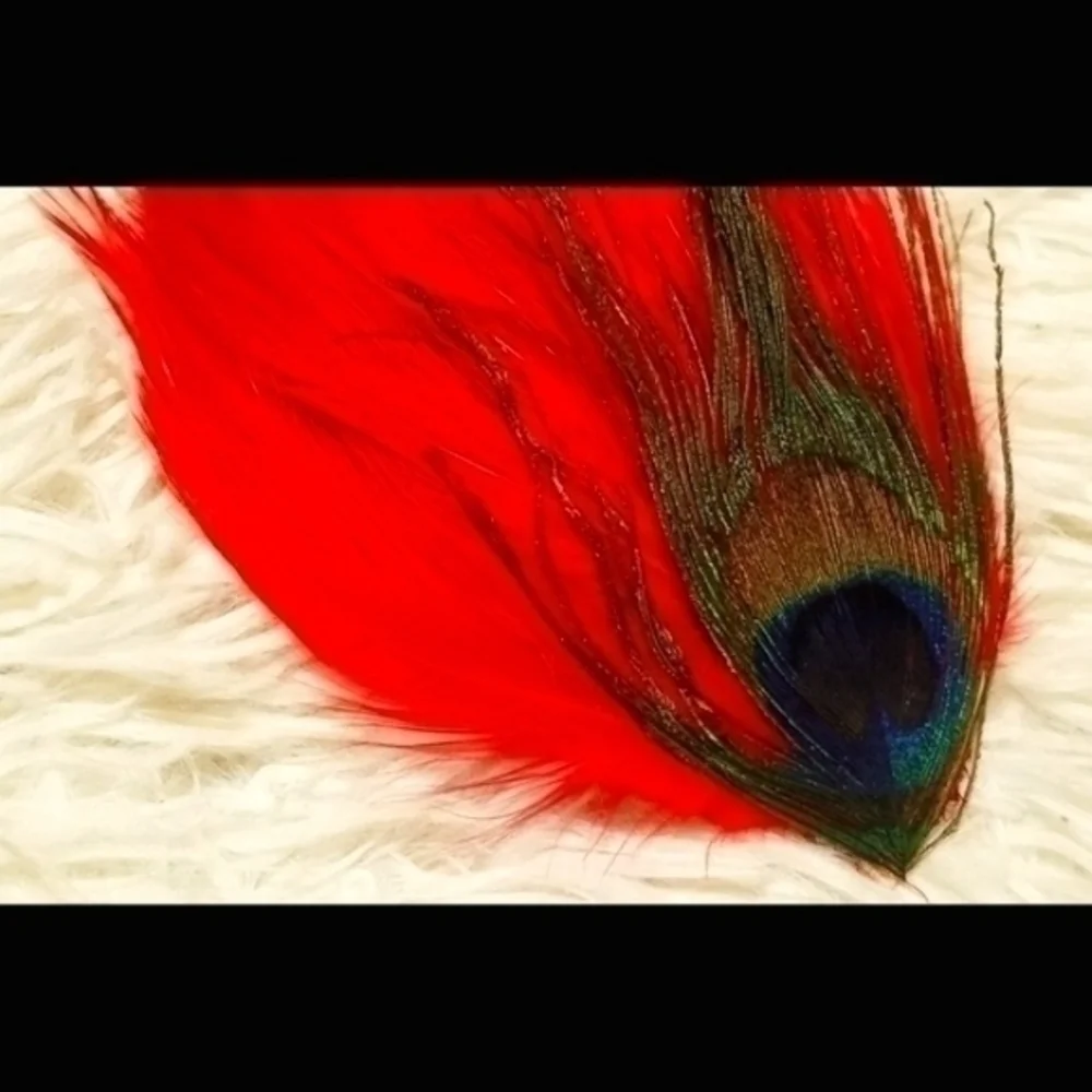 Vintage Regal Feathers Hair Clip